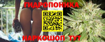 a pvp Кимры