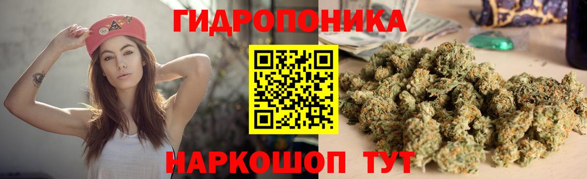 Конопля план  Конопля VHQ  Бошки Шишки сатива  Костомукша  Вход с VPN 